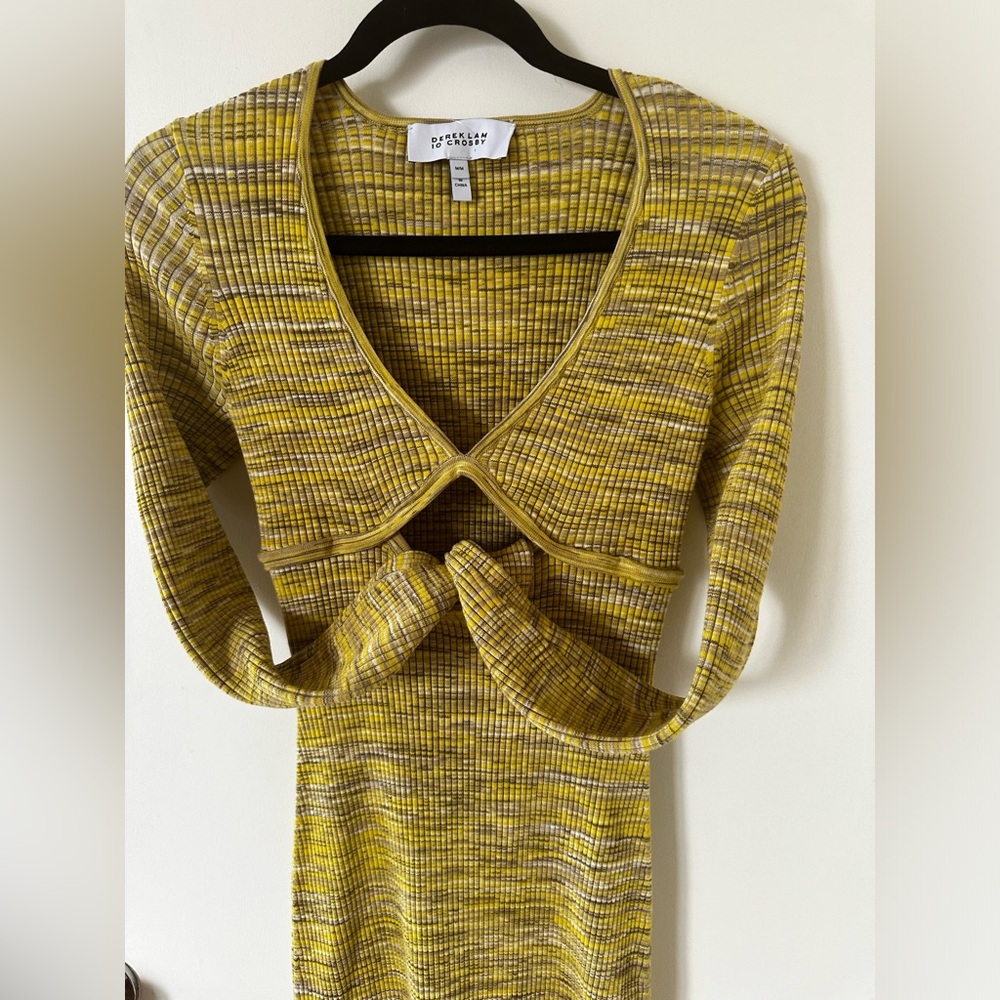 Brand new Derek Lam Cutout dress.